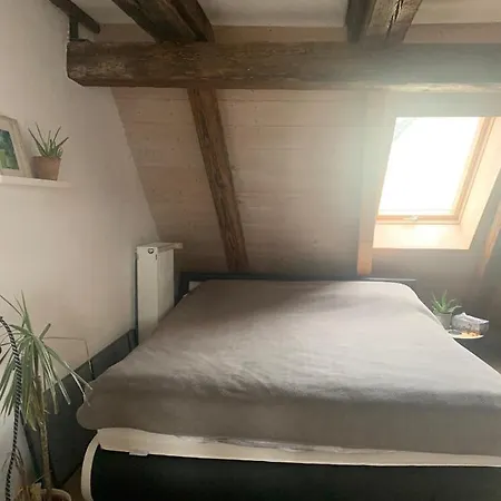Apartman Wohnung Fischingen