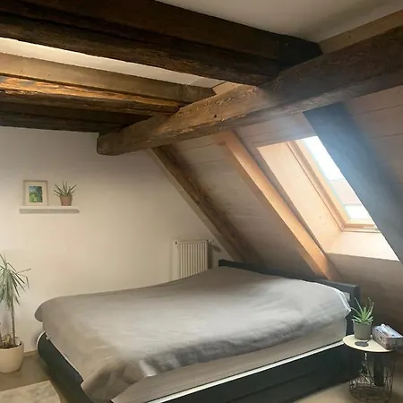 Wohnung Fischingen
